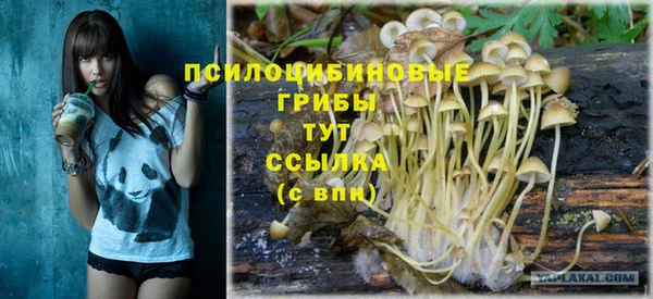 гидропоника Новозыбков