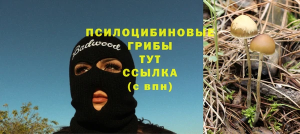 шишки Новокубанск