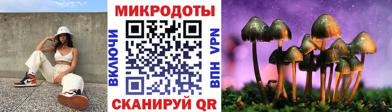 где купить   Каневская  Галлюциногенные грибы ЛСД 